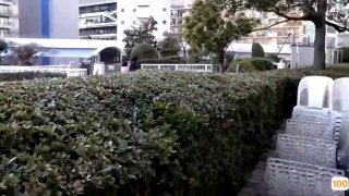出口欧美大码女装_欧美亚洲精品成人视频